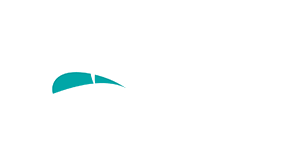 logo-300x150-pegasystems